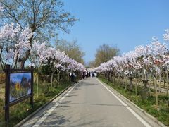 -武汉紫薇都市田园