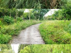 -南湖湿地公园