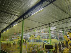 -南宫五洲植物乐园