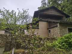 -杭州植物园