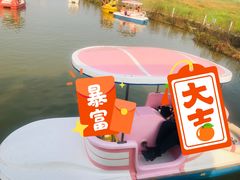 -空港花田景区