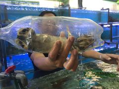 -钱塘府海鲜餐厅