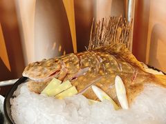 -日进一片海.生腌海鲜火锅.宵夜烧烤(三里屯总店)