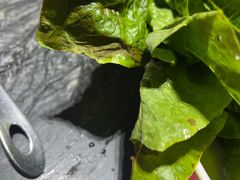 -重庆大队长火锅(凤城八路店)