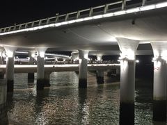 -演武大桥观景平台