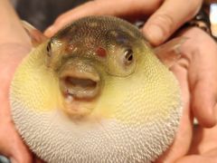 -永安鱼庄·镇江菜(东吴路店)