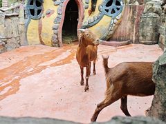 -长鹿旅游休博园