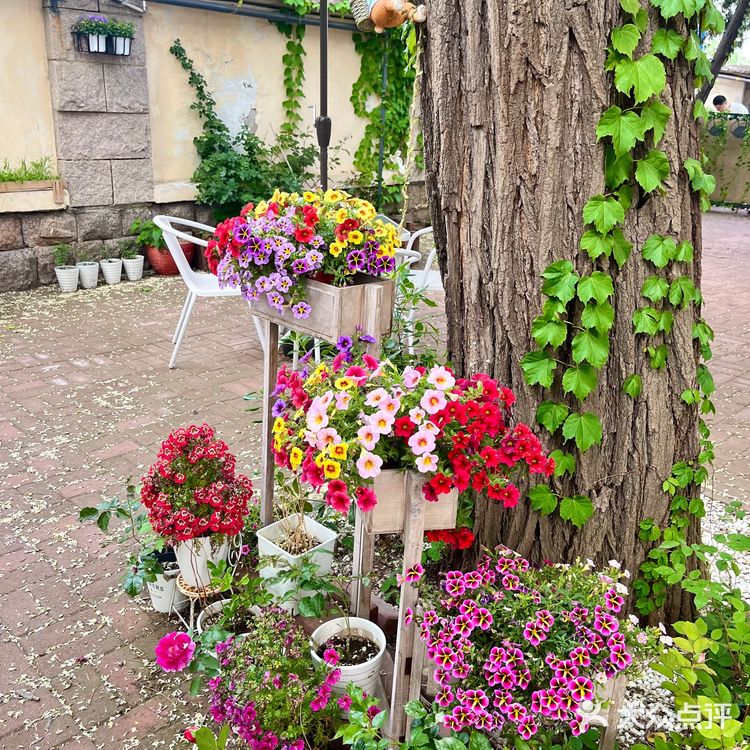 小院里的午后时光