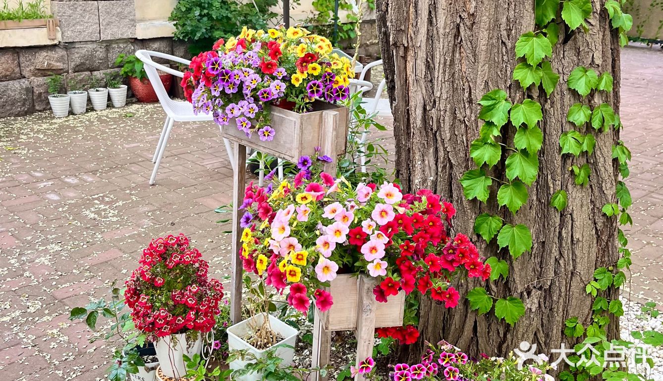 小院里的午后时光