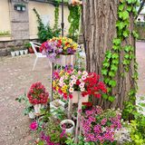 小院里的午后时光