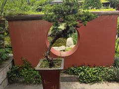 -绿色菜园·农家土菜(贤山店)