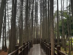 -东湖落雁景区