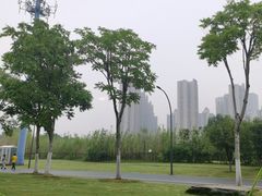 -金银湖国家城市湿地公园