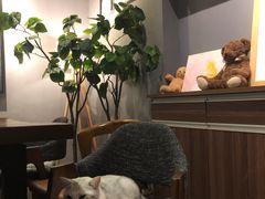 -咖法森林·咖啡  酒吧(天河店)