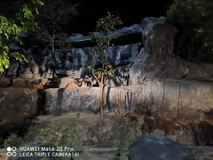 -清迈夜间动物园
