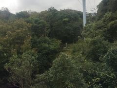 -普陀山佛顶山索道