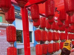 -青岛方特梦幻王国