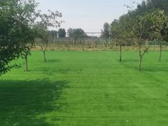 -亲兄弟真人CS团建拓展基地