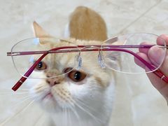 -杨兮眼视光工作室