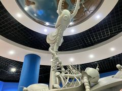 -国家自然博物馆