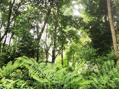 -成都市活水公园