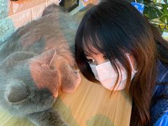 -平行世界·猫咖(首经贸店)