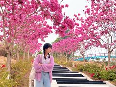 -盈香心动乐园