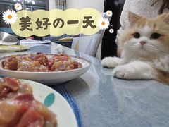 -艾贝尔宠物医院·狂犬免疫点(江山金象城店)