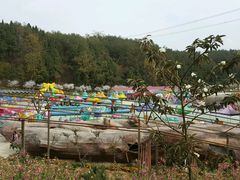 -绵阳盛世樱花悠乐谷