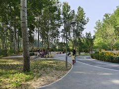 -仁和公园(顺义区)