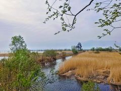 -野鸭湖国家湿地公园