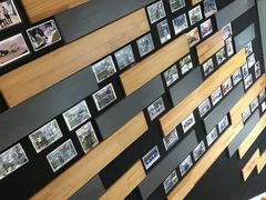-奈斯宠物医院·核磁CT·异宠专科·内镜(中南店)