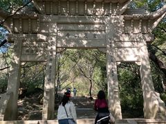 -灵岩山风景区