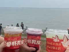 -观潮胜地公园