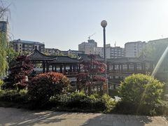 -孺子亭公园