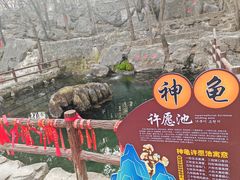 -浮来山风景区
