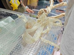 -上海大自然野生昆虫馆(东方明珠·爬宠昆虫探索中心)