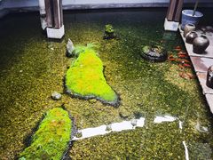 -几荷·恰似故人来(秀水广场店)
