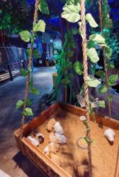 -酷嗒动物文化乐园(cutezoo西溪乐天城店)