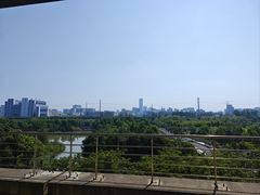 -小杨生煎(龙阳广场店)
