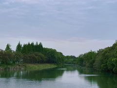 -昆山城市生态森林公园
