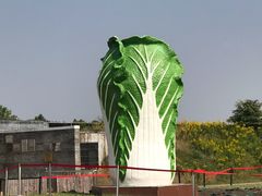 -上海都市菜园