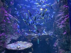 -海合安青岛极地海洋公园