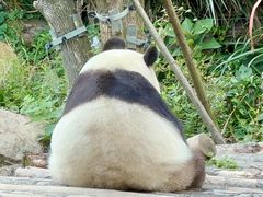 -宁波野生动物园