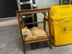 -極致刺青TATTOO STUDIO 私人订制