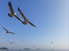 -银沙滩浴场