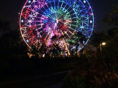 android_upload_pic-凤岭儿童公园
