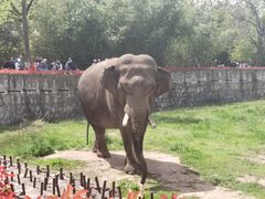 -西安秦岭野生动物园