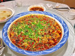 -新概念来凤鱼(璧山店)