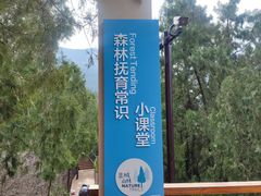 -佛慧山